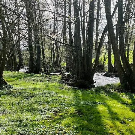 Ferienhaus Wind In Den Weiden, übernachten Am Bachlauf