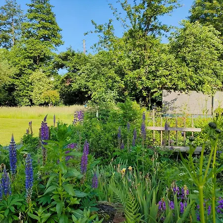 Wind In Den Weiden, übernachten Am Bachlauf