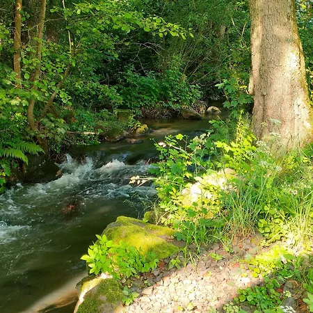 Wind In Den Weiden, übernachten Am Bachlauf