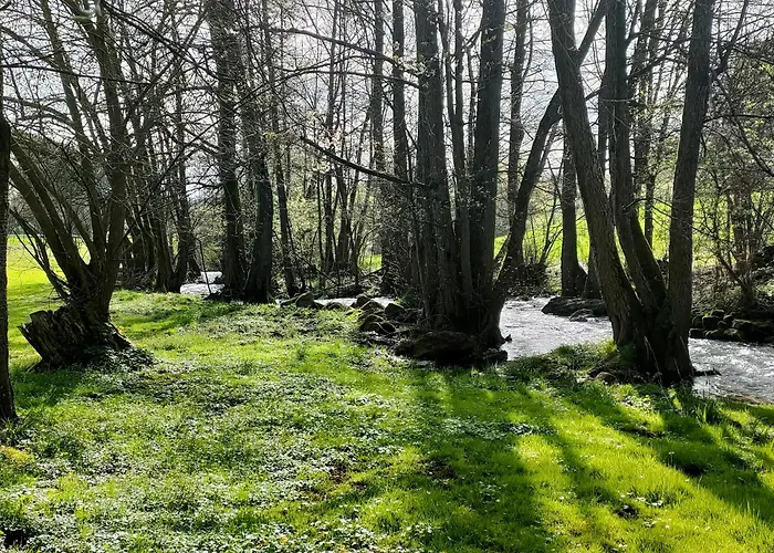 Hébergement de vacances Wind In Den Weiden, Uebernachten Am Bachlauf