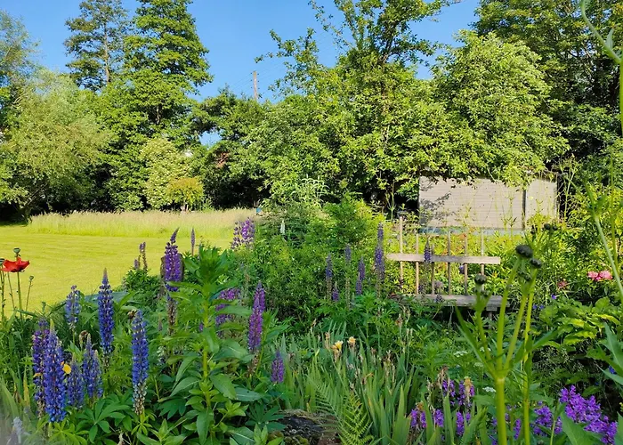 Wind In Den Weiden, Uebernachten Am Bachlauf