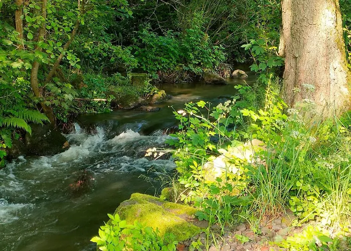 Wind In Den Weiden, Uebernachten Am Bachlauf